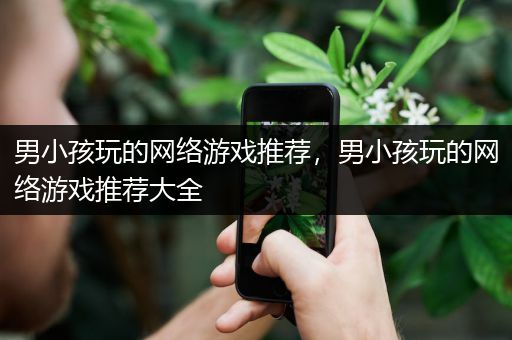 男小孩玩的网络游戏推荐，男小孩玩的网络游戏推荐大全