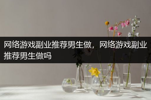 网络游戏副业推荐男生做，网络游戏副业推荐男生做吗