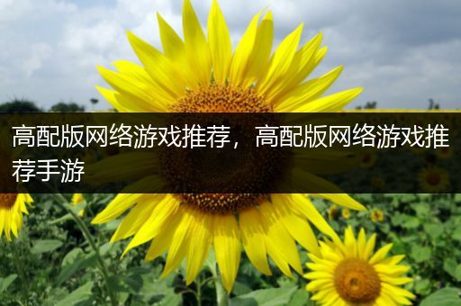高配版网络游戏推荐，高配版网络游戏推荐手游