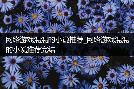 网络游戏混混的小说推荐_网络游戏混混的小说推荐完结