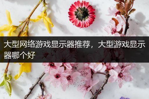 大型网络游戏显示器推荐，大型游戏显示器哪个好