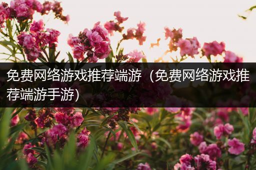 免费网络游戏推荐端游（免费网络游戏推荐端游手游）