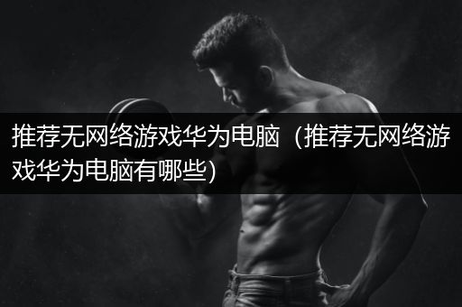 推荐无网络游戏华为电脑（推荐无网络游戏华为电脑有哪些）