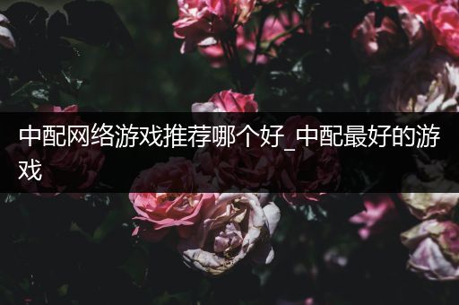 中配网络游戏推荐哪个好_中配最好的游戏