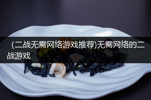 （二战无需网络游戏推荐)无需网络的二战游戏