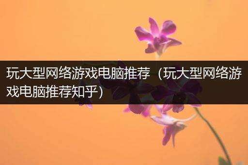 玩大型网络游戏电脑推荐（玩大型网络游戏电脑推荐知乎）