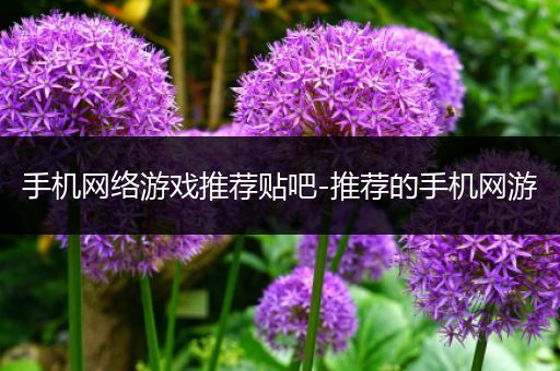 手机网络游戏推荐贴吧-推荐的手机网游