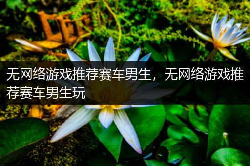 无网络游戏推荐赛车男生，无网络游戏推荐赛车男生玩