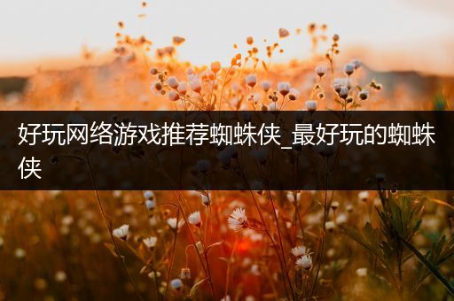 好玩网络游戏推荐蜘蛛侠_最好玩的蜘蛛侠