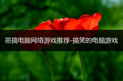 恶搞电脑网络游戏推荐-搞笑的电脑游戏