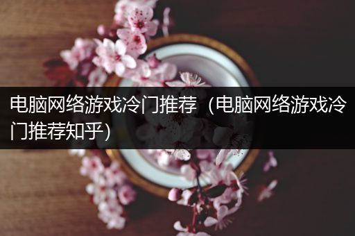 电脑网络游戏冷门推荐（电脑网络游戏冷门推荐知乎）