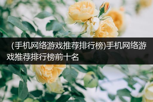（手机网络游戏推荐排行榜)手机网络游戏推荐排行榜前十名
