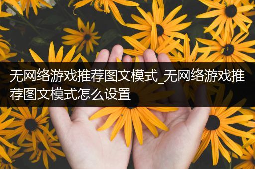 无网络游戏推荐图文模式_无网络游戏推荐图文模式怎么设置