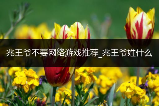 兆王爷不要网络游戏推荐_兆王爷姓什么