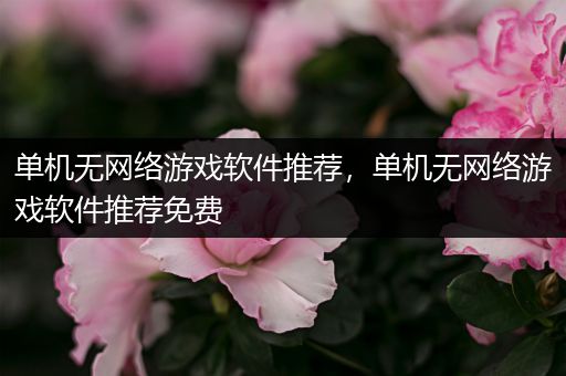 单机无网络游戏软件推荐，单机无网络游戏软件推荐免费