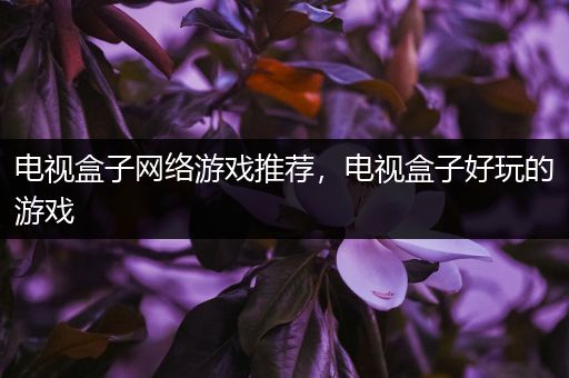 电视盒子网络游戏推荐，电视盒子好玩的游戏
