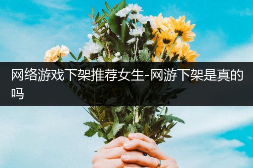 网络游戏下架推荐女生-网游下架是真的吗
