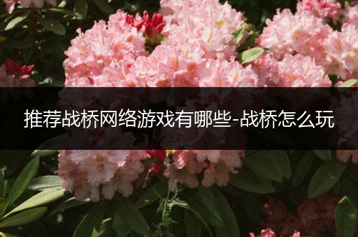 推荐战桥网络游戏有哪些-战桥怎么玩