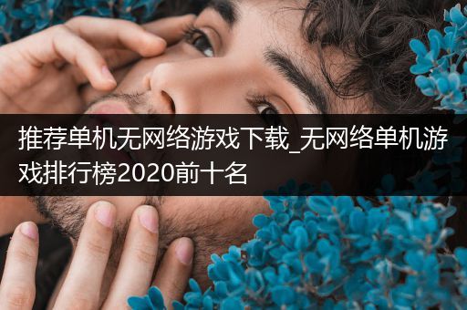 推荐单机无网络游戏下载_无网络单机游戏排行榜2020前十名