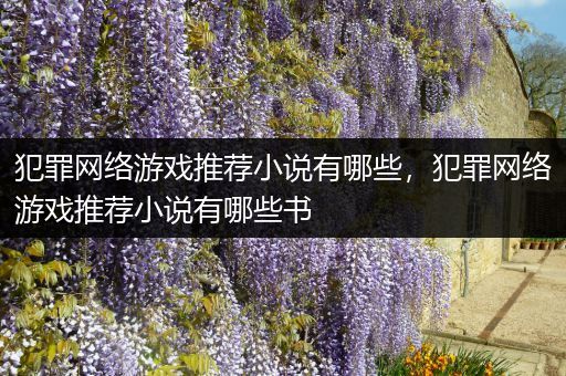 犯罪网络游戏推荐小说有哪些，犯罪网络游戏推荐小说有哪些书