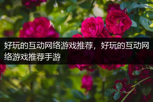 好玩的互动网络游戏推荐，好玩的互动网络游戏推荐手游