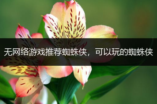 无网络游戏推荐蜘蛛侠，可以玩的蜘蛛侠