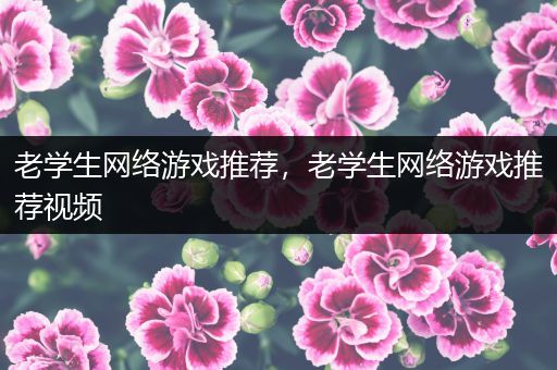 老学生网络游戏推荐，老学生网络游戏推荐视频