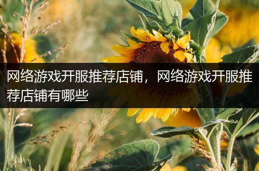 网络游戏开服推荐店铺，网络游戏开服推荐店铺有哪些