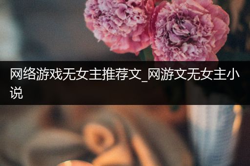 网络游戏无女主推荐文_网游文无女主小说