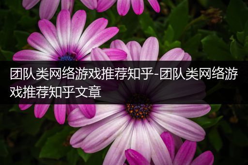 团队类网络游戏推荐知乎-团队类网络游戏推荐知乎文章