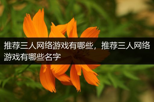 推荐三人网络游戏有哪些，推荐三人网络游戏有哪些名字