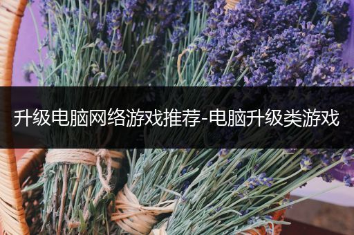 升级电脑网络游戏推荐-电脑升级类游戏