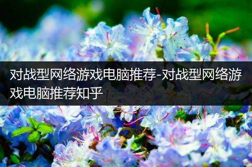 对战型网络游戏电脑推荐-对战型网络游戏电脑推荐知乎