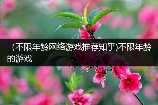 （不限年龄网络游戏推荐知乎)不限年龄的游戏