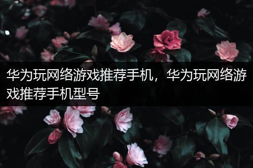 华为玩网络游戏推荐手机，华为玩网络游戏推荐手机型号