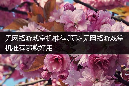 无网络游戏掌机推荐哪款-无网络游戏掌机推荐哪款好用