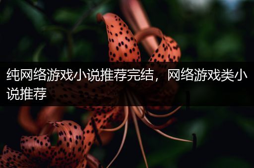 纯网络游戏小说推荐完结，网络游戏类小说推荐