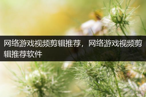 网络游戏视频剪辑推荐，网络游戏视频剪辑推荐软件