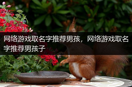 网络游戏取名字推荐男孩，网络游戏取名字推荐男孩子