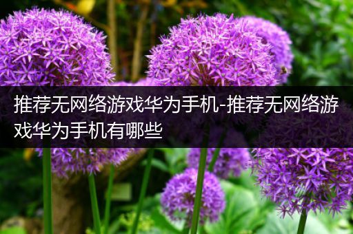 推荐无网络游戏华为手机-推荐无网络游戏华为手机有哪些