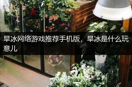 旱冰网络游戏推荐手机版，旱冰是什么玩意儿
