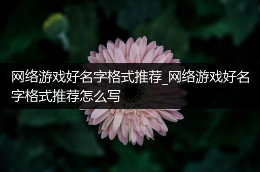 网络游戏好名字格式推荐_网络游戏好名字格式推荐怎么写
