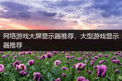 网络游戏大屏显示器推荐，大型游戏显示器推荐