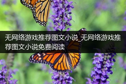 无网络游戏推荐图文小说_无网络游戏推荐图文小说免费阅读