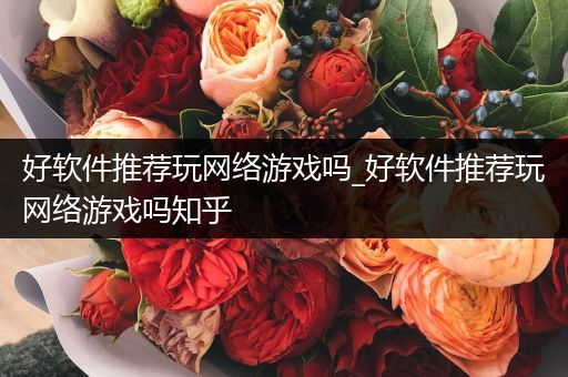 好软件推荐玩网络游戏吗_好软件推荐玩网络游戏吗知乎