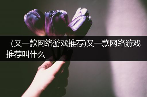 （又一款网络游戏推荐)又一款网络游戏推荐叫什么