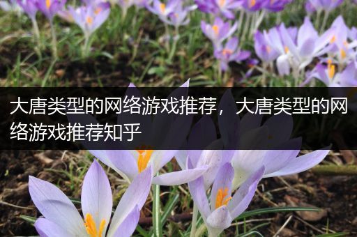 大唐类型的网络游戏推荐，大唐类型的网络游戏推荐知乎