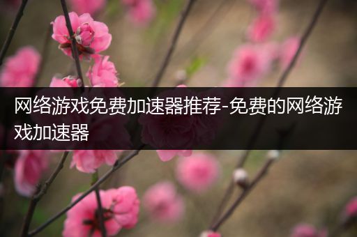 网络游戏免费加速器推荐-免费的网络游戏加速器