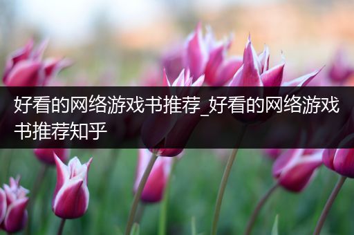 好看的网络游戏书推荐_好看的网络游戏书推荐知乎