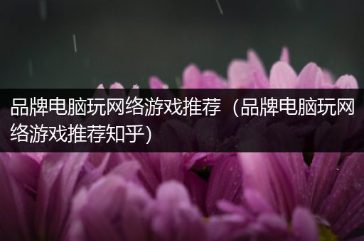 品牌电脑玩网络游戏推荐（品牌电脑玩网络游戏推荐知乎）